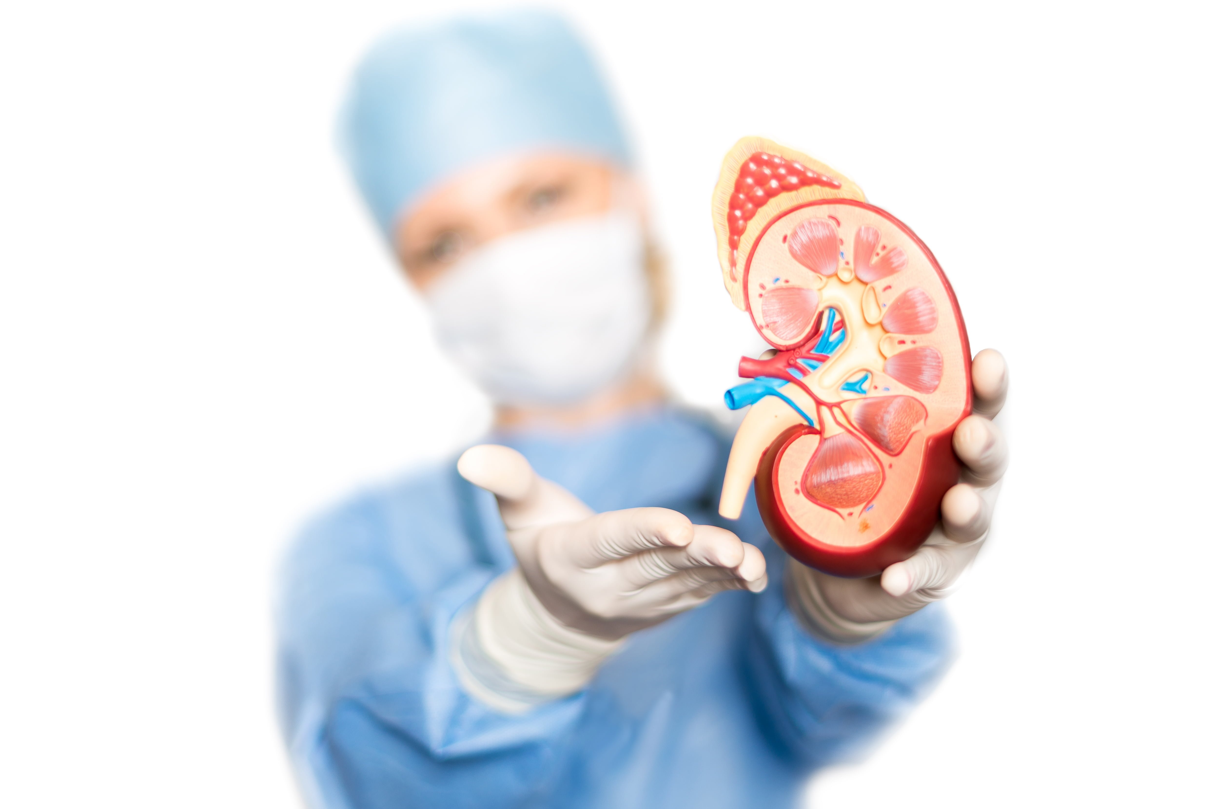 Kidney Transplant