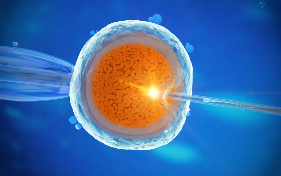 Ivf Treatment